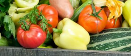 選購無農藥污染新鮮蔬菜